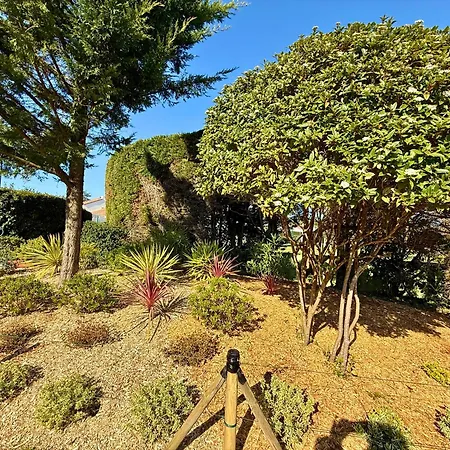 Casa Otarie Avec Piscine Et Terrasse -proxi Plage, Port, Gare